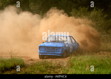 Traccia di erba Racing Foto Stock