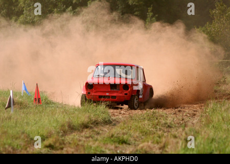 Traccia di erba Racing Foto Stock