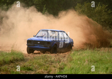 Traccia di erba Racing Foto Stock