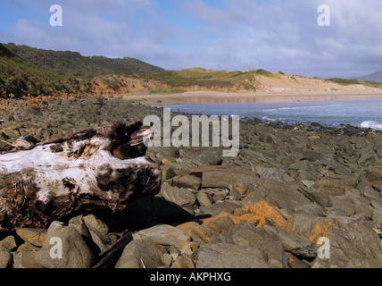 Narawntapu Parco nazionale Tasmania Foto Stock