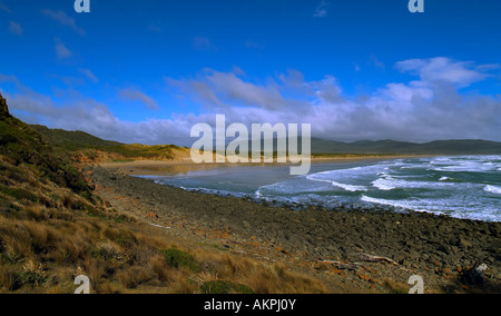 A ovest di testa, Narawntapu National Park, la Tasmania, Australia Foto Stock