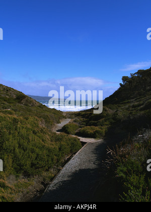 Narawntapu Parco nazionale Tasmania Foto Stock