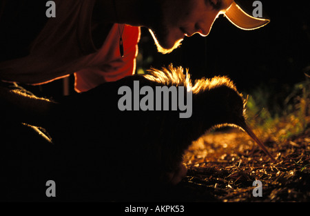 Allo zoo di Wellington rilasciando un uccello kiwi Foto Stock