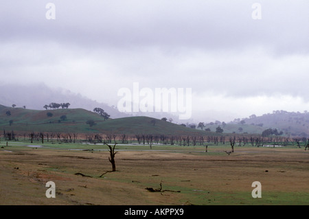 Una scena da Victoria rurale in Australia Foto Stock