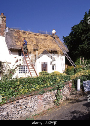 Giornata del cielo blu e soleggiato per Thatchers che lavora fuori scale per le riparazioni di cottage inglese tetto in paglia nel piccolo villaggio Suffolk di Kersey Inghilterra Regno Unito Foto Stock