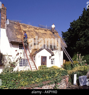 La Thatcher lavorando fuori scala per le riparazioni di inglese cottage dal tetto di paglia nel piccolo villaggio Kersey Inghilterra Suffolk REGNO UNITO Foto Stock