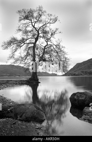 Struttura di prestito in autunno a Ullswater nel Lake District Cumbria Inghilterra England Regno Unito Foto Stock