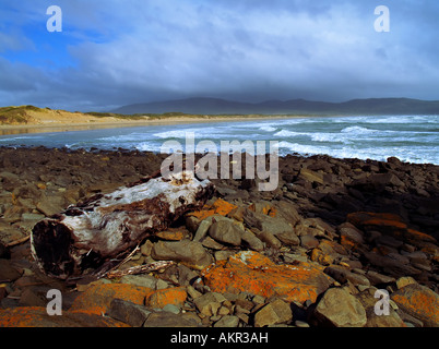 Narawntapu Parco nazionale Tasmania Foto Stock