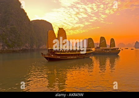 Giunche turistico al tramonto sulla baia di Halong Vietnam Foto Stock