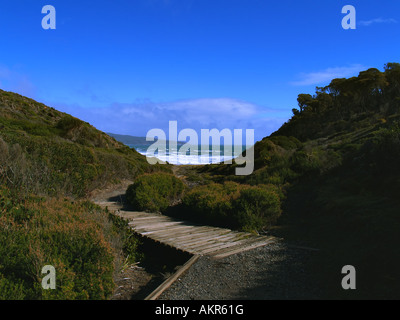 Narawntapu Parco nazionale Tasmania Foto Stock