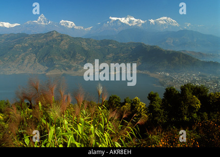 Nepal Himalaya Lago Phewa catena Hannapurna picco di coda di pesce Foto Stock