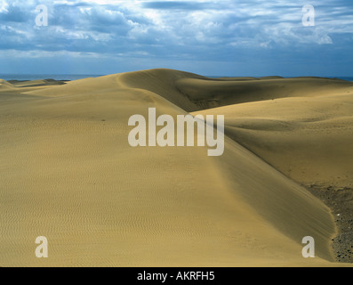 MASPALOMAS GRAN CANARIA febbraio le dune in Early Morning Light Foto Stock