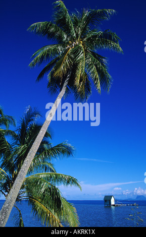 Francia, Polinesia francese, la società arcipelago delle Isole Sottovento, Tahaa island, Pearl Farm Foto Stock