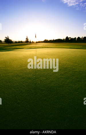 Golf Green di sunrise Foto Stock