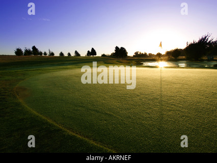 Golf Green di sunrise Foto Stock