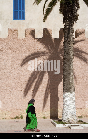 Donna e Palma nel Mediterraneo Essaouira, Marocco Foto Stock