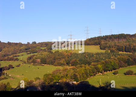 Elettricità piloni in campo nel nord Welsh campagna vicino a Llanrwst Foto Stock