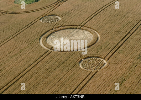 Crop Circles nel Wiltshire Sud Ovest Inghilterra Foto Stock