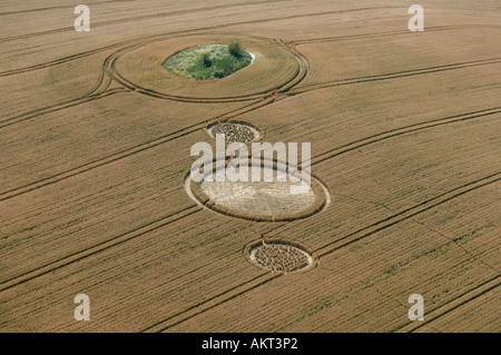 Crop Circles nel Wiltshire Sud Ovest Inghilterra Foto Stock
