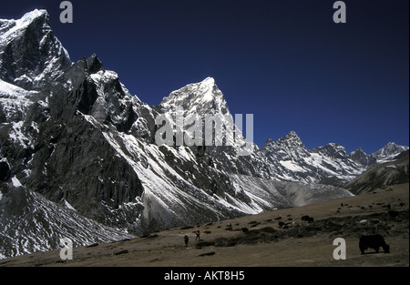 Al di sopra di Dingboche Everest trail Nepal Foto Stock