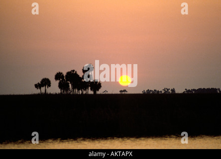 Un tramonto sul fiume di erba che rende molto delle Everglades Foto Stock