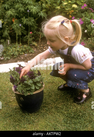 Il Toddler guardando con interesse a un impianto di petunia che cresce in un vaso di fiori Foto Stock