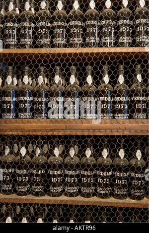 Bottiglie di 1973 Vintage Verdelho vino di Madera, il vecchio Blandy Madeira Wine Lodge, Funchal, Madeira, Portogallo Foto Stock