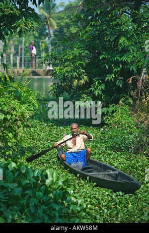 INDIA Kerala BACKWATERS uomo canottaggio nel canale attraverso GIGLI Foto Stock