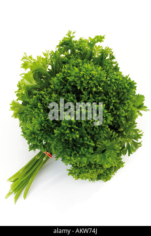 Prezzemolo Petroselinum crispum, close-up Foto Stock