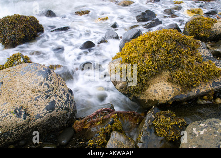 Onde Mare surf rompe sulla costa rocciosa, Elgol Beach L'Isola di Skye in Scozia UK Foto Stock