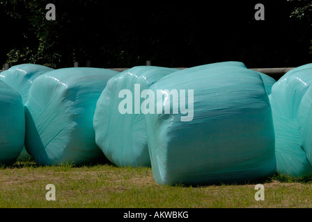 Round rotoballe di fieno avvolto in plastica in polietilene Foto Stock