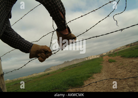 La riparazione di un recinto sul campo di registrazione Ranch North Dakota Foto Stock