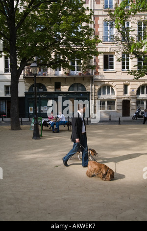 Uomo che cammina i cani in luogo Dauphine Ile de la Cite Parigi Francia Foto Stock