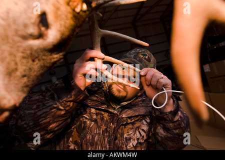 Dead culbianco cervi appesi in Pike County Illinois Foto Stock