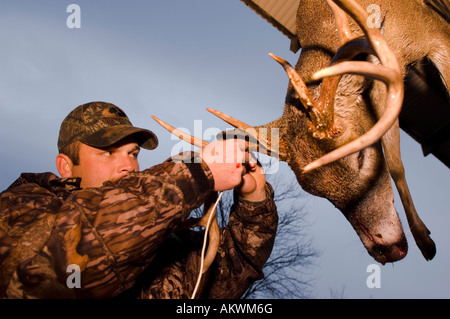 Dead culbianco cervi appesi in Pike County Illinois Foto Stock