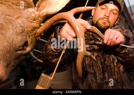 Dead culbianco cervi appesi in Pike County Illinois Foto Stock