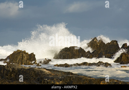 Un' enorme ondata di colpire le rocce sulla riva Foto Stock