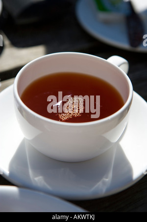 Tè nero in porcellana bianca tazza e piattino Foto Stock
