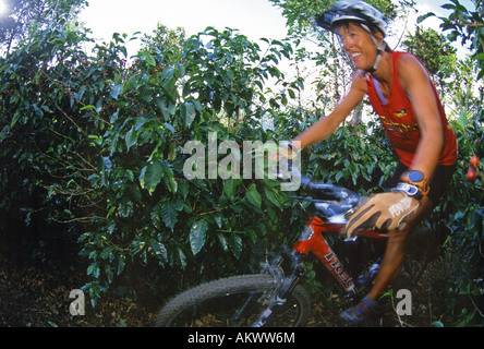 Tryntje giovani giostre duro attraverso filari di piante di caffè in Santa Maria, Costa Rica. Foto Stock