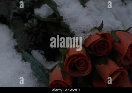 Mazzo di rose su un cimitery a Milano nel periodo invernale dopo una caduta di neve. Foto Stock