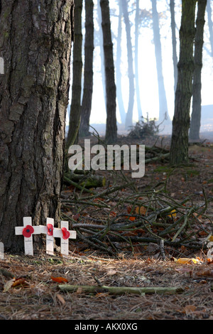 Poppies a Sheffield Pals Memorial sul campo di battaglia di somme in Francia Foto Stock