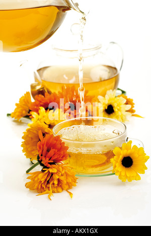 Calendula tea essere versata nella tazza da tè, close-up Foto Stock