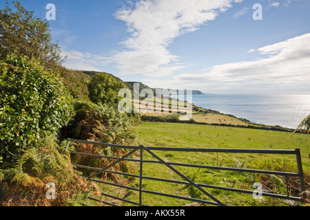 Lungo la costa sud occidentale il percorso vicino Oriente Prawle nel South Devon England Regno Unito Foto Stock