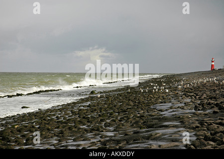 Mare del Nord, Westkapelle, Zeeland, Holland, Paesi Bassi Foto Stock