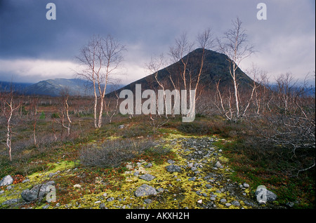 Monti Khibiny sono situati in Russia nella regione di Murmansk. Penisola di Kola, Russia Foto Stock