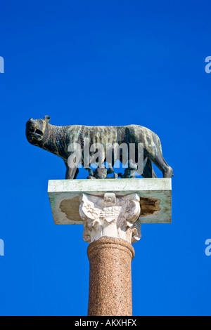 Lupo capitolino infermieri il ragazzo Romolo e Remo Piazza dei Miracoli di Pisa Toscana Italia Foto Stock