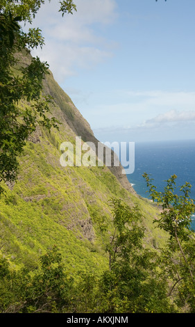 Hawaii Molokai Island Pacific USA Viaggi turismo scenic vista verticale Mule Ride scogliere seafins Foto Stock