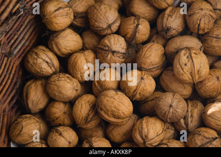 Appena raccolto le noci nel sud del Palatinato, Palatinato, Renania-Palatinato, Germania Foto Stock