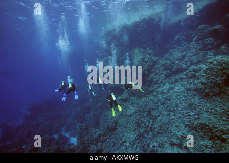 Sommozzatore in una barriera corallina, Zabargad, Mar Rosso, Egitto, Arfica. Foto Stock