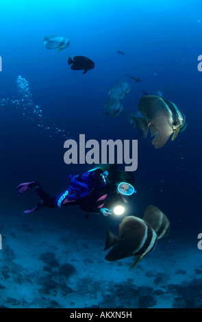 Subacqueo con un rebreather. (Chiuso o semichiuso sistema circolatorio). Maldive. Foto Stock